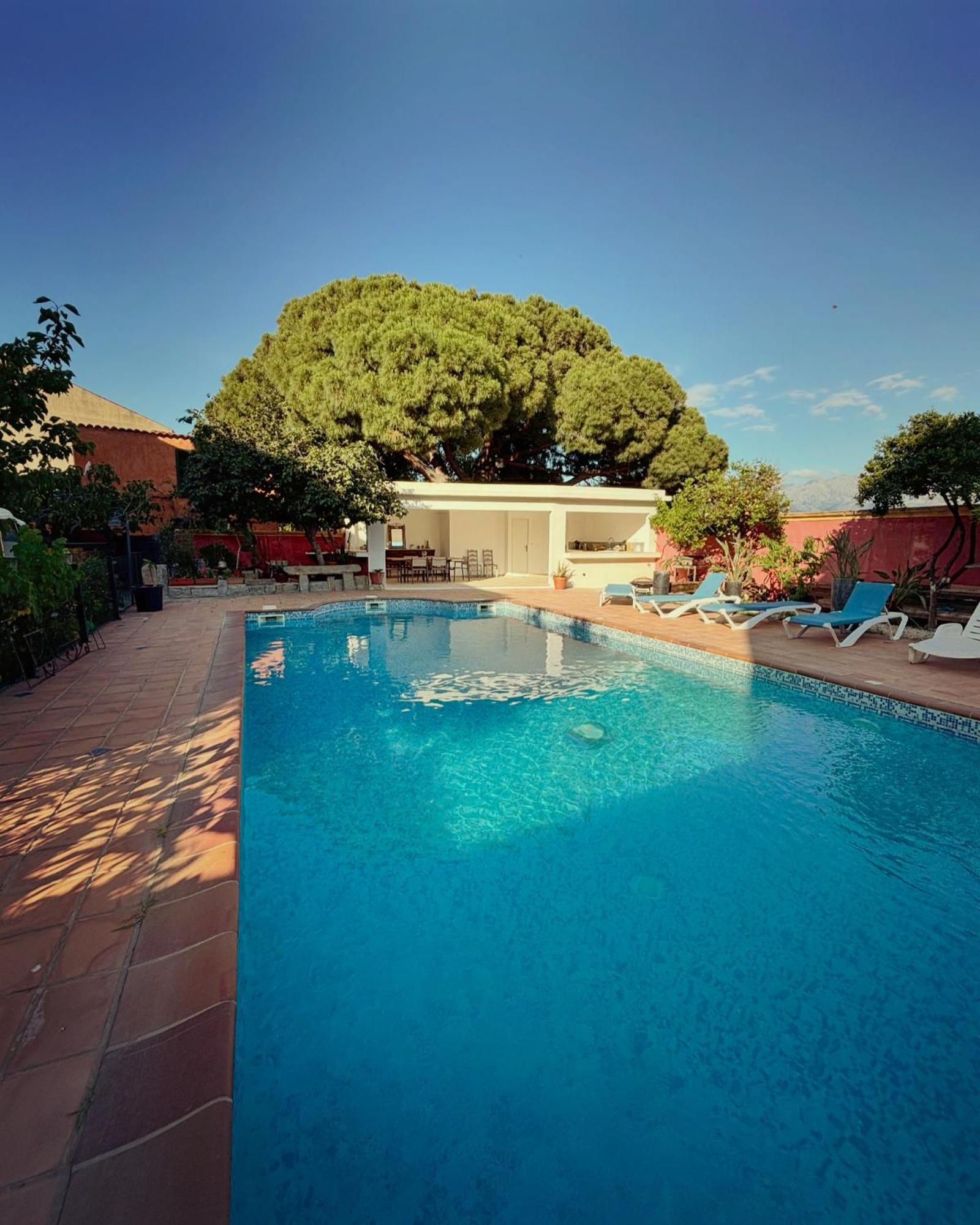Residence Antonia Appartements Avec Piscine Commune - Centre Ville Calvi Calvi  Buitenkant foto
